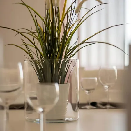 In Croatia Near The Sea Villa